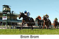 Brom Brom (14872 bytes)