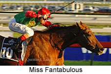 Miss Fantabulous (14772 bytes)