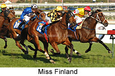 Miss Finland (14772 bytes)