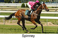 Spinney (14772 bytes)