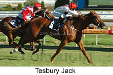 Tesbury Jack (14772 bytes)