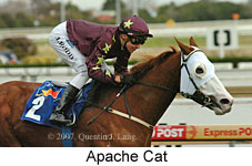 Apache Cat (14772 bytes)