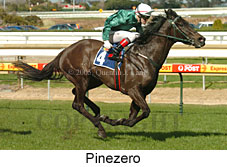 Pinezero (14772 bytes)