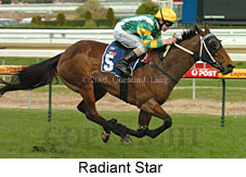 Radiant Star (14772 bytes)