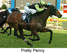 Pretty Penny (14772 bytes)