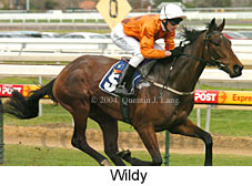 Wildy (16573 bytes)