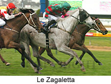 Le Zagaletta (17766 bytes)