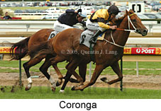 Coronga (16519 bytes)