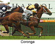 Coronga (16519 bytes)