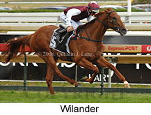 Wilander (14872 bytes)