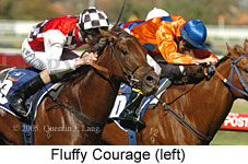 Fluffy Courage (14772 bytes)
