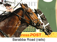 Barabba Road (14772 bytes)