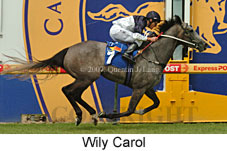 Wily Carol (14872 bytes)