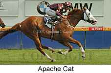 Apache Cat (14872 bytes)