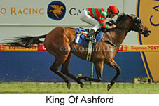 King Of Ashford (14872 bytes)