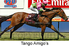 Tango Amigos (14872 bytes)