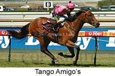 Tango Amigos (14872 bytes)