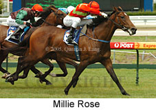 Millie Rose (14772 bytes)