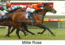 Millie Rose (14772 bytes)