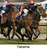 Yakama (16918 bytes)