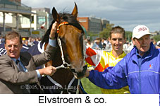 Elvstroem (14772 bytes)