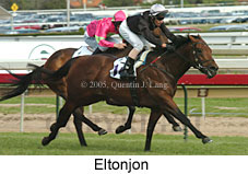 Eltonjon (16564 bytes)