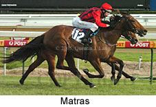 Matras (16564 bytes)