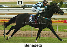 Benedetti (16564 bytes)