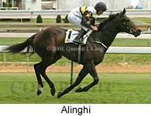 Alinghi (14419 bytes)