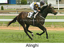 Alinghi (13918 bytes)