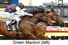 Green Mankini (16519 bytes)