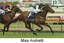 Miss Andretti (16519 bytes)
