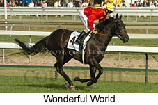 Wonderful World (16519 bytes)
