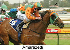 Amarazetti (14772 bytes)