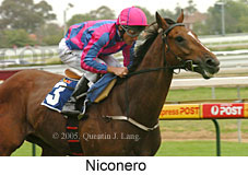 Niconero (14772 bytes)