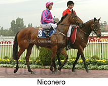 Niconero (14772 bytes)