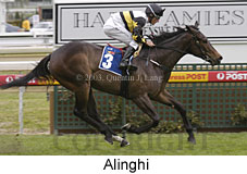 Alinghi (14376 bytes)