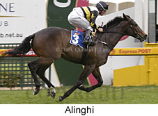 Alinghi (14228 bytes)