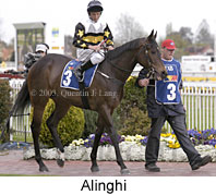 Alinghi (15224 bytes)