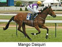 Mango Daiquiri (16193 bytes)