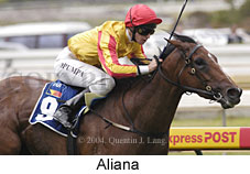 Aliana (13791 bytes)