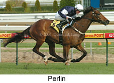 Perlin (14772 bytes)