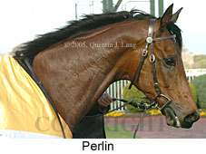 Perlin (14772 bytes)