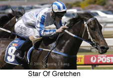 Star Of Gretchen (14713 bytes)