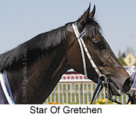 Star Of Gretchen (11122 bytes)