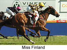 Miss Finland (15397 bytes)