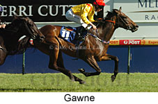 Gawne (16564 bytes)