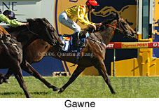 Gawne (16564 bytes)