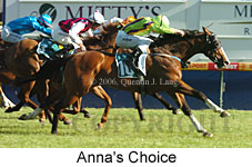 Anna's Choice (16564 bytes)