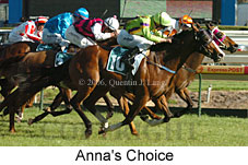 Anna's Choice (16564 bytes)